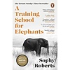 A Training School for Elephants