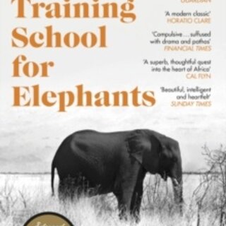 A Training School for Elephants