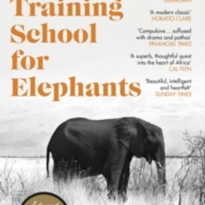 A Training School for Elephants