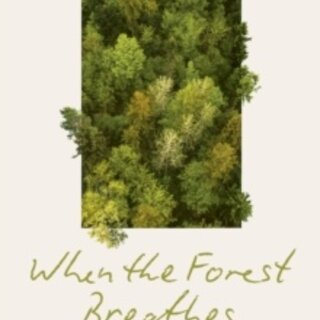When the Forest Breathes: Renewal and Resilience in the Natural World