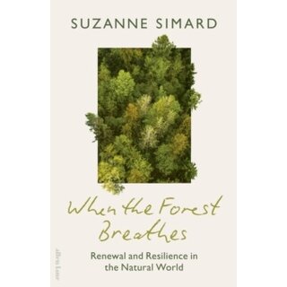 When the Forest Breathes: Renewal and Resilience in the Natural World