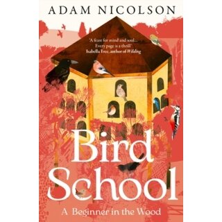 Bird School: A Beginner in the Wood