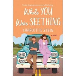 While You Were Seething