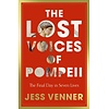 The Lost Voices of Pompeii : The Final Day in Seven Lives