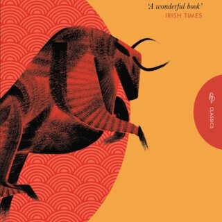 Bullfight