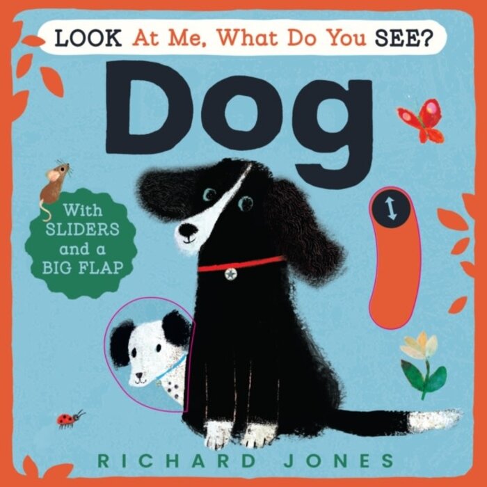 Look at Me, What Do You See? Dog