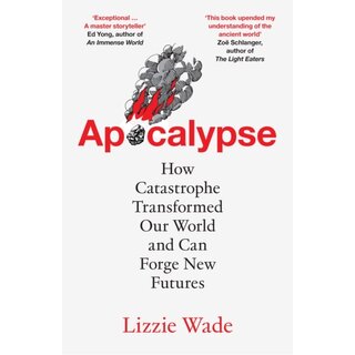 Apocalypse : How Catastrophe Transformed Our World and Can Forge New Futures