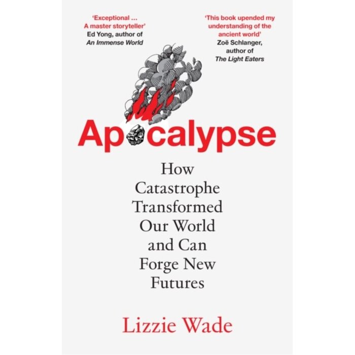 Apocalypse : How Catastrophe Transformed Our World and Can Forge New Futures