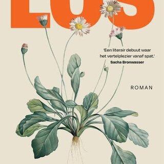 Los