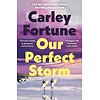 Our Perfect Storm