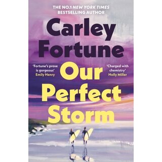 Our Perfect Storm