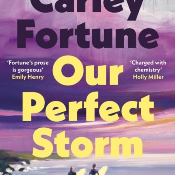 Our Perfect Storm