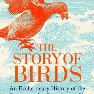 The Story of Birds : An Evolutionary History of the Dinosaurs That Live Among Us