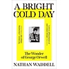 A Bright Cold Day