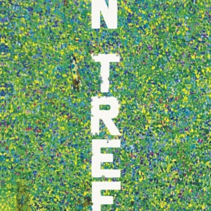 In Trees : An Exploration of Ancient Living Wisdom, From Wild Branches to Deep Roots