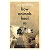 How Animals Heal Us