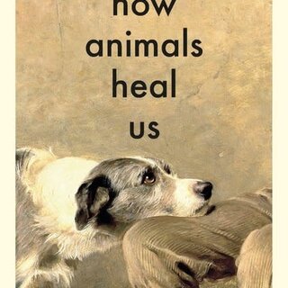 How Animals Heal Us