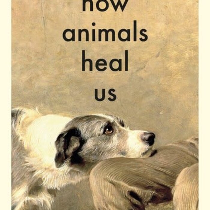 How Animals Heal Us