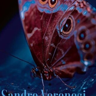 Sandro Veronesi Vergankelijkheid