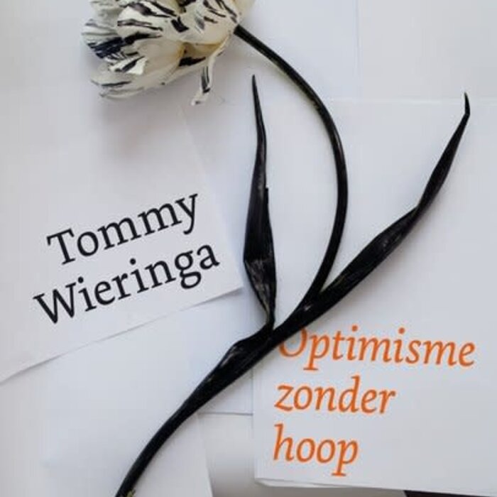 Tommy Wieringa Optimisme zonder hoop