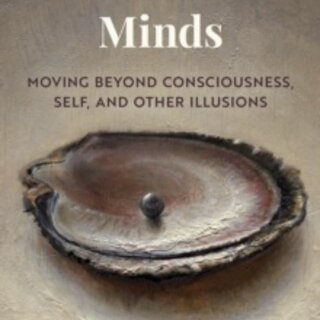 Our Fictional Minds : Moving Beyond Consciousness, Self, and Other Illusions