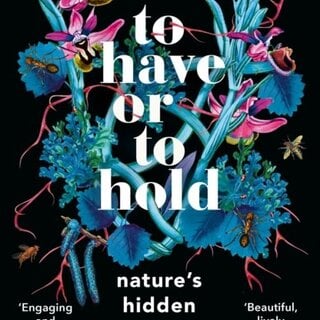 To Have or To Hold : Nature's Hidden Relationships