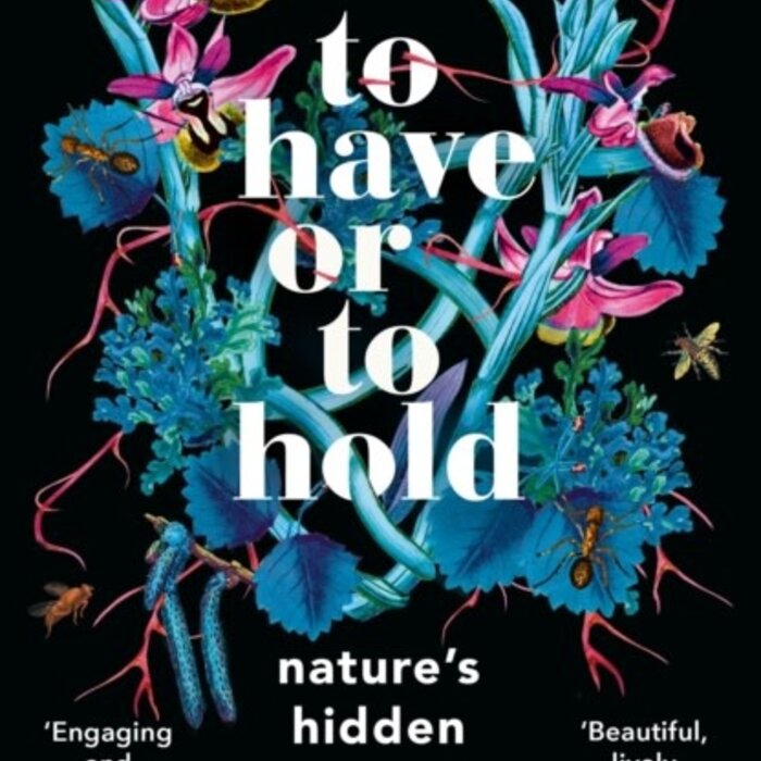 To Have or To Hold : Nature's Hidden Relationships