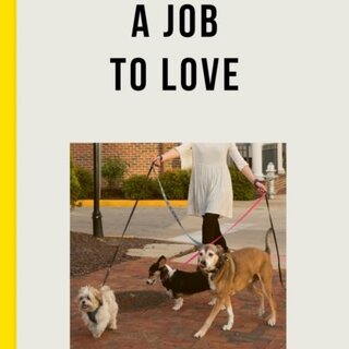 The School of Life The School of Life: A Job to Love: How to find a fulfilling career