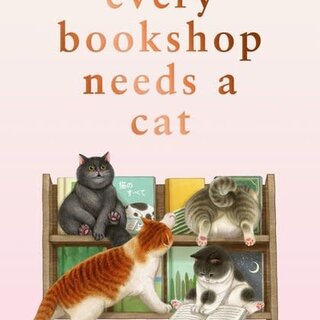 Every Bookshop Needs a Cat