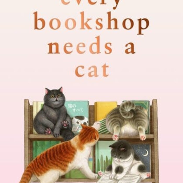 Every Bookshop Needs a Cat