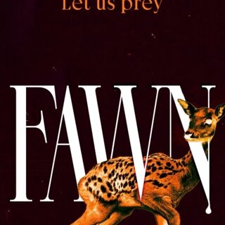 Fawn