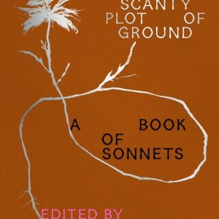 A Scanty Plot of Ground