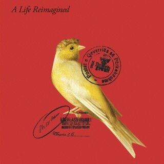Indignity : A Life Reimagined