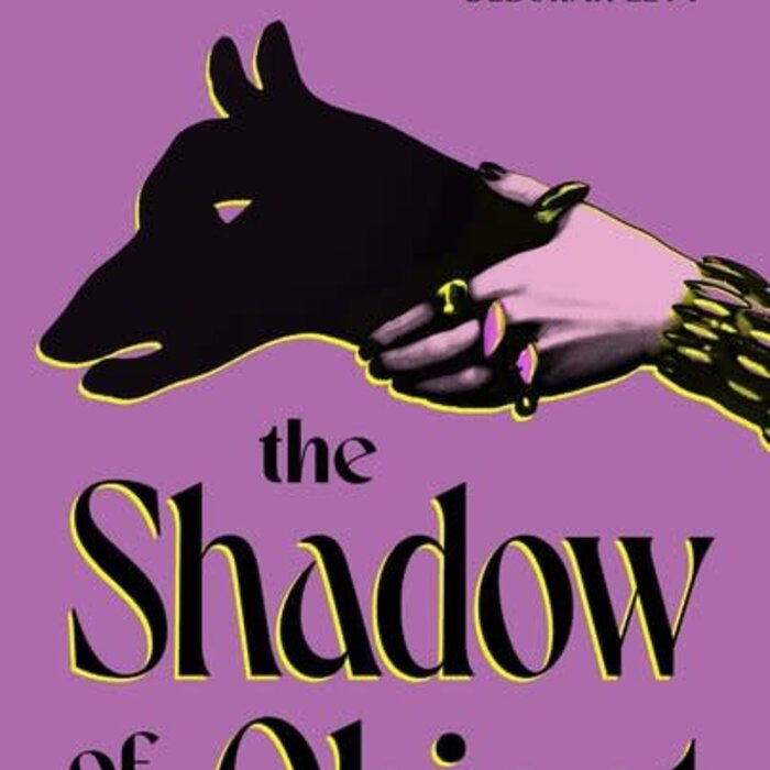 The Shadow of the Object