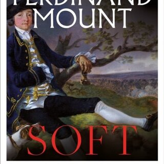 Soft : A History of Sentimentality