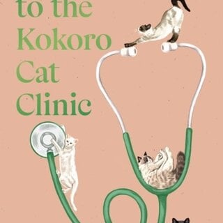 Welcome to the Kokoro Cat Clinic