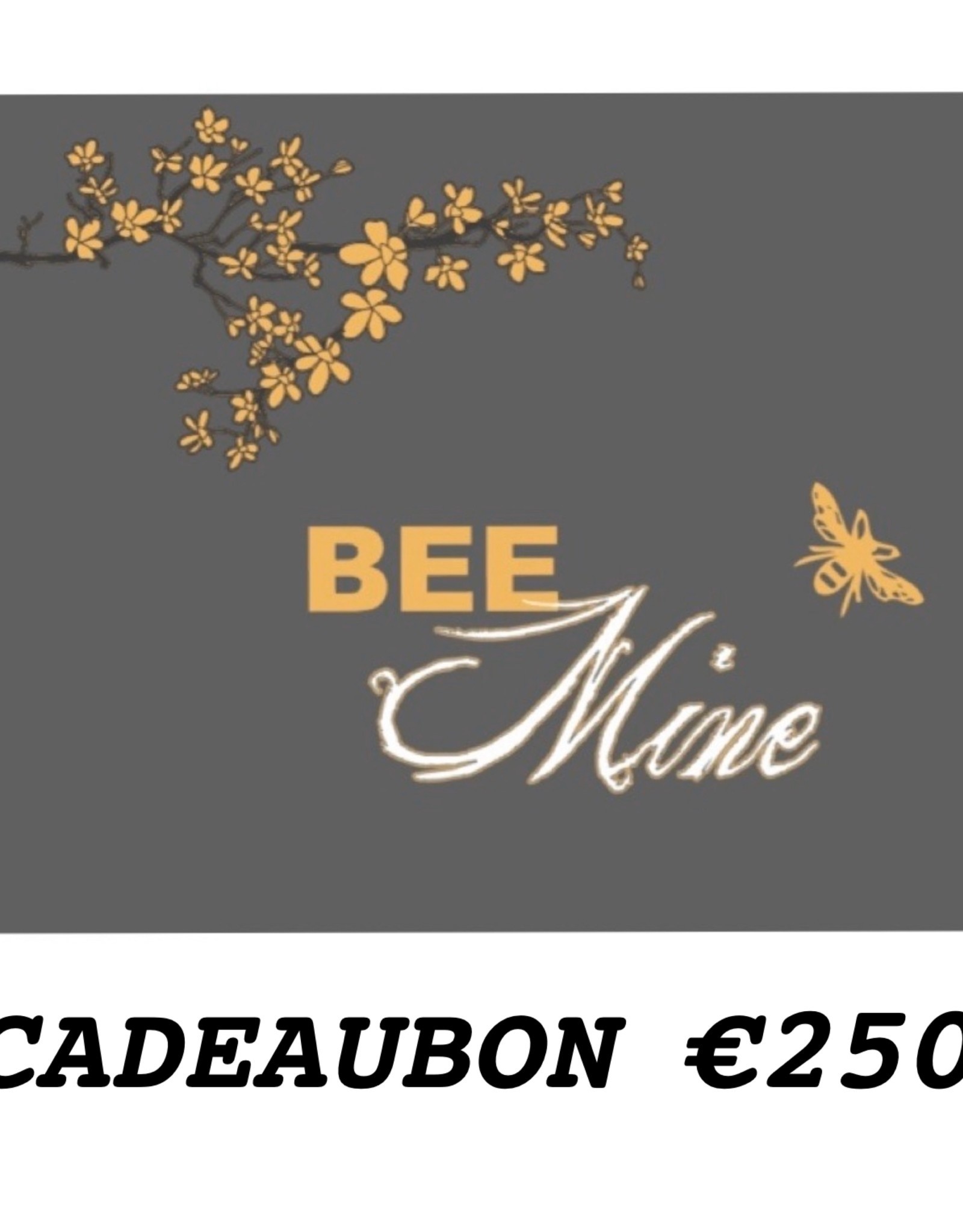 CADEAUBON €250