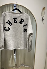 Sweater Cherie grijs/zwart