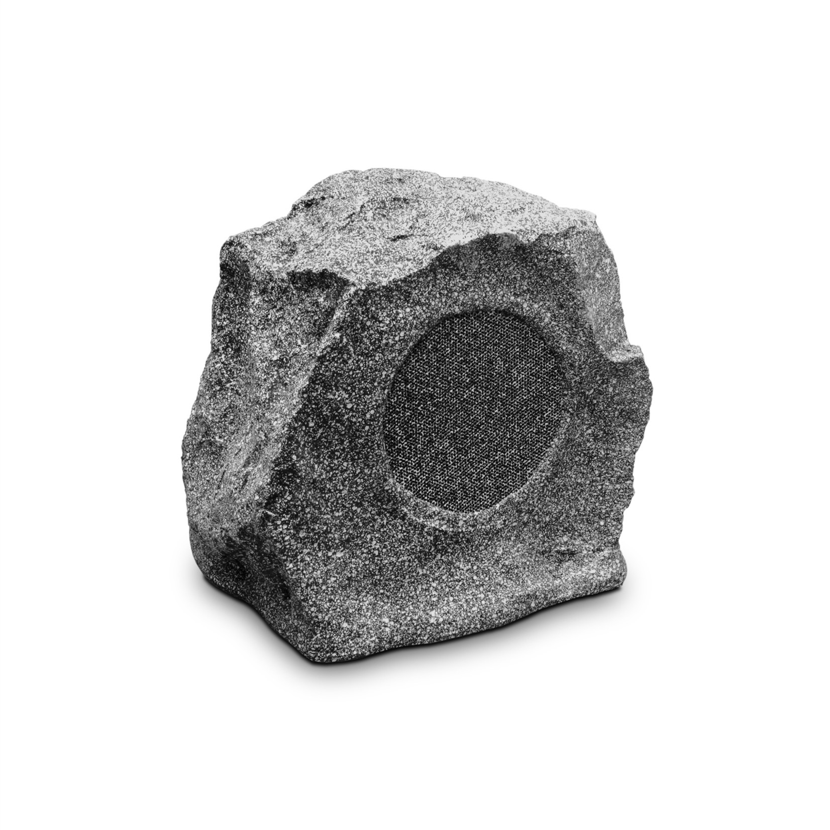 BIAMP ROCK20 Outdoor Luidspreker