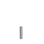 BIAMP COLS41 Kolom Luidspreker