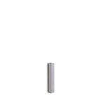 BIAMP COLS41 Kolom Luidspreker
