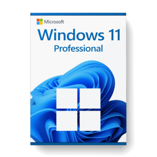 Microsoft Windows 11 Professional