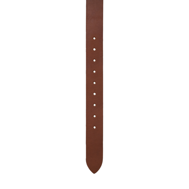 Carhartt WIP Ryan Belt - Cognac / Silver