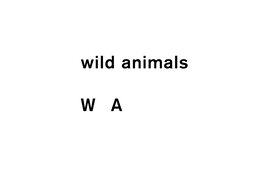 Wild Animals