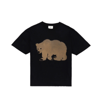 Wild Animals Bear Bear