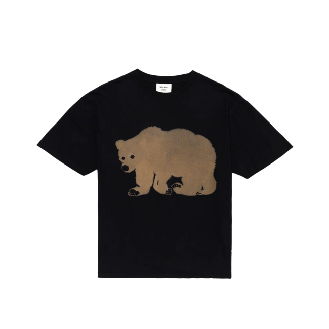 Wild Animals Bear Bear