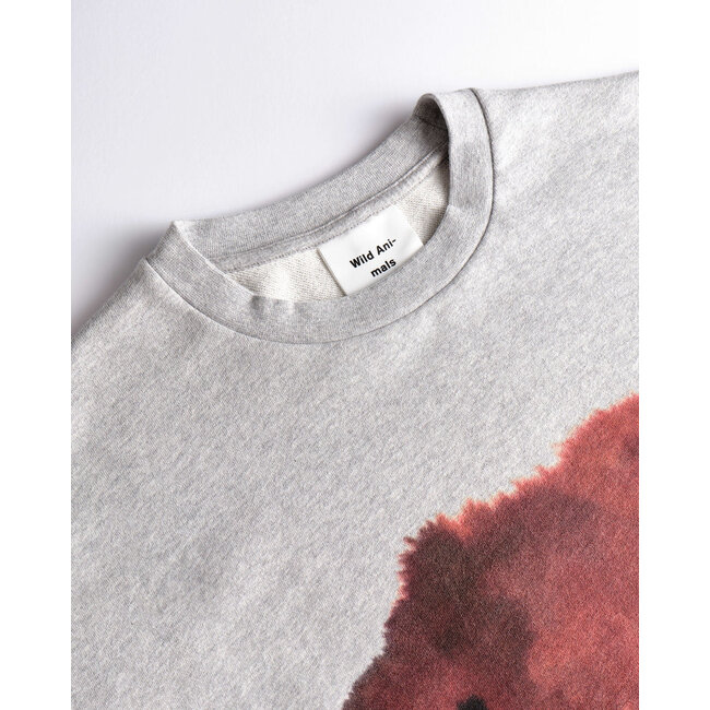 Wild Animals Bear Sweater