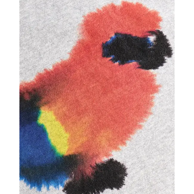 Wild Animals Parrot Sweater