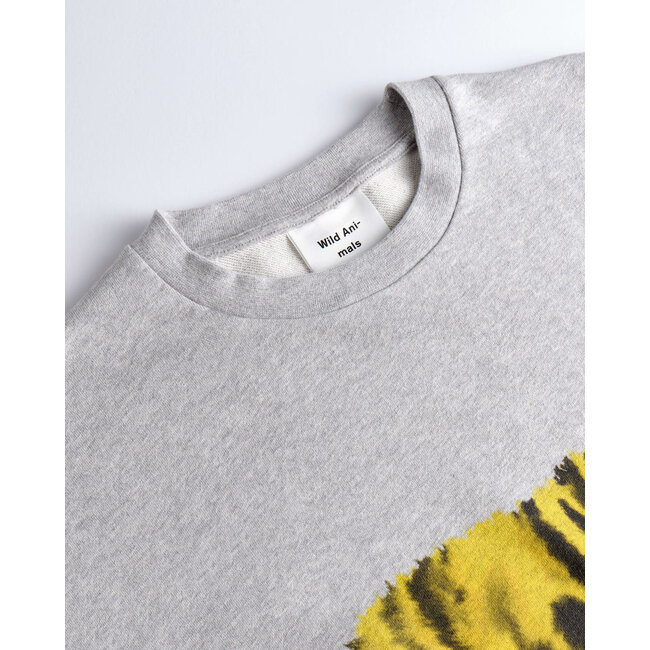 Wild Animals Tiger Sweater