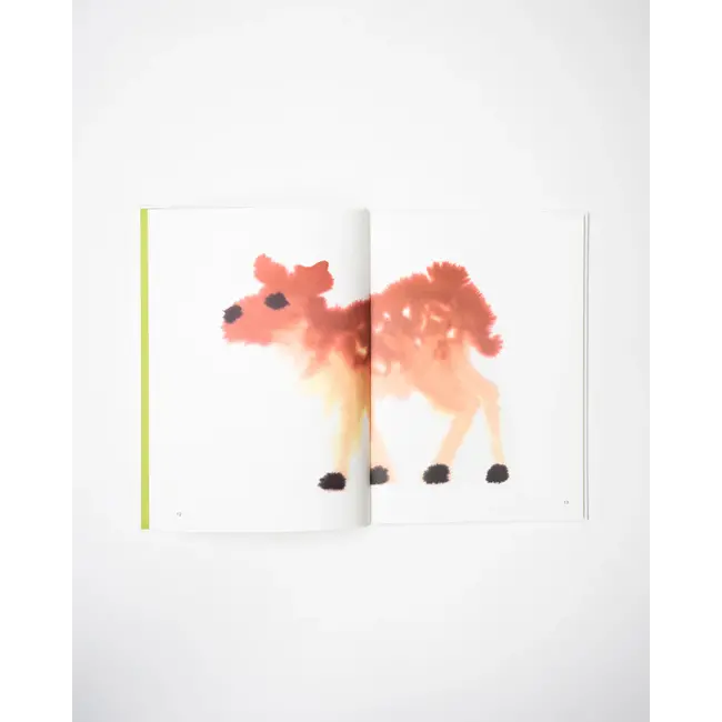 Wild Animals Wild Animals Book